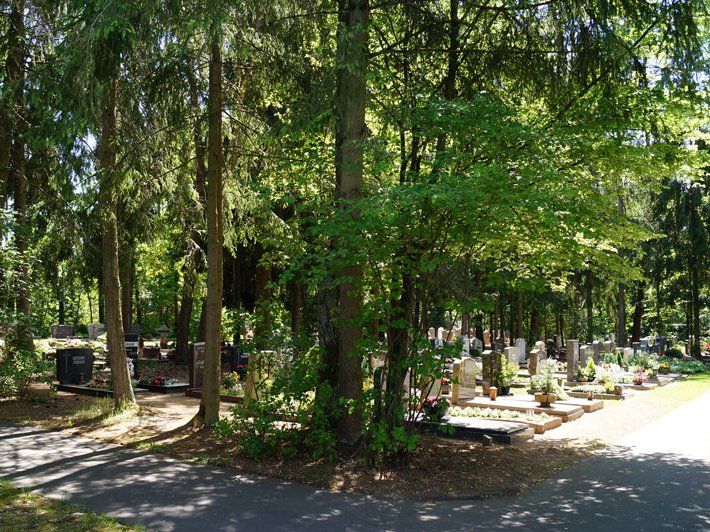 Neuer Friedhof Erdgrabstätte